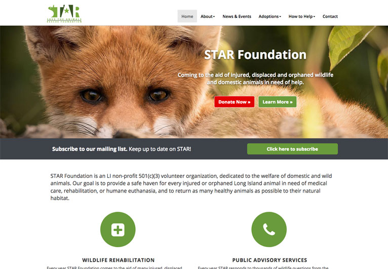 Website designed for an animal rescue organization